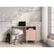 Skrivebord MEVEL - 120x58 cm - ørkensand - pink millenial - 1 dør
