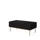 Sofabord NICOLE - 120x60 cm - svart matt - 2 skuffer - metall bein