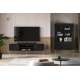 Tv-benk ELJOT - 160x49 cm - svart matt - 2 dører - metall bein
