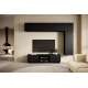 Tv-benk LOFTIA 160x41 cm - sort matt
